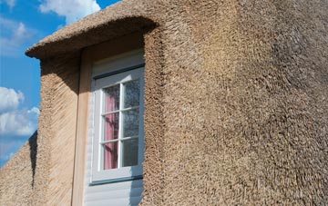 Bancyfford thatch roof disadvantages
